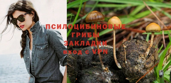 кокс Баксан