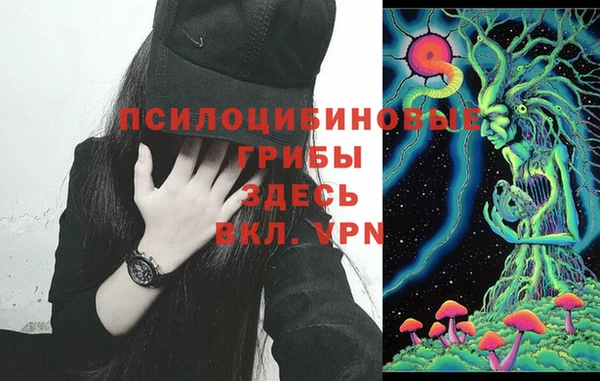 кокс Баксан