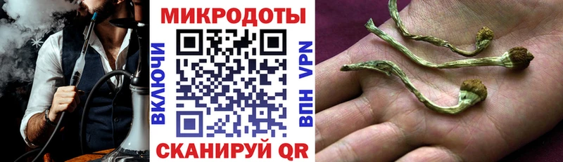 закладка  Усмань  Галлюциногенные грибы ЛСД 